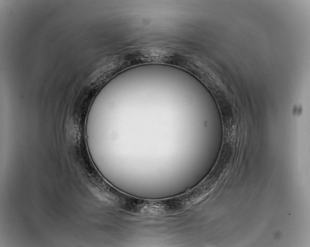 X0000100380599200806131101
