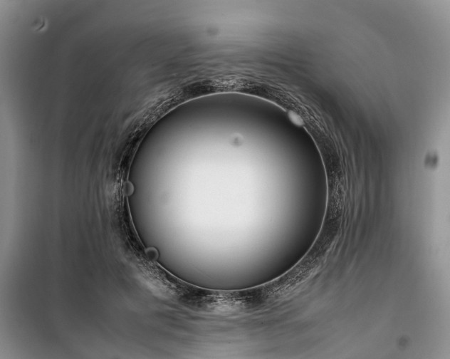 X0000100380601200806131101
