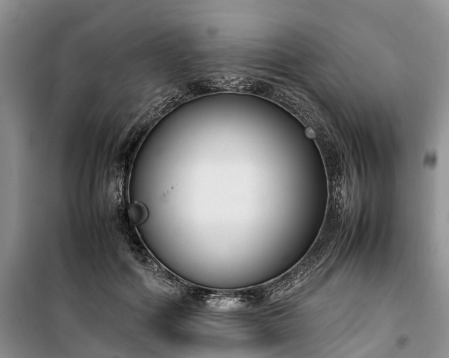 X0000100380602200806131101