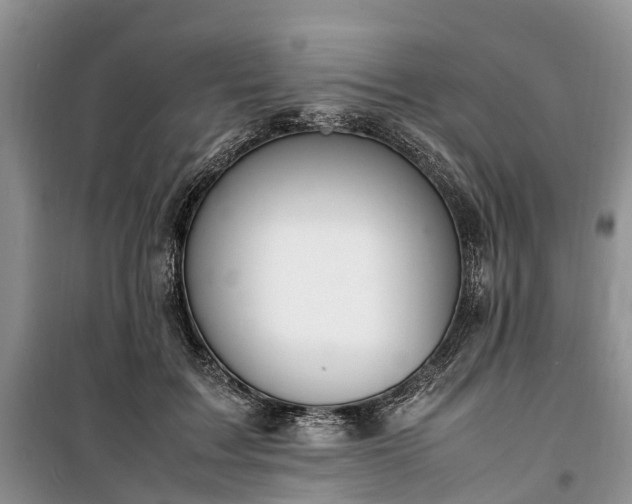 X0000100380603200806131101