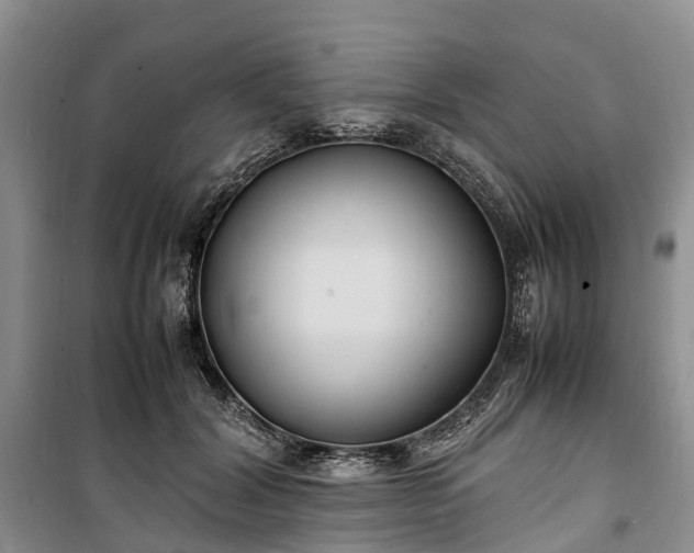 X0000100380604200806131101