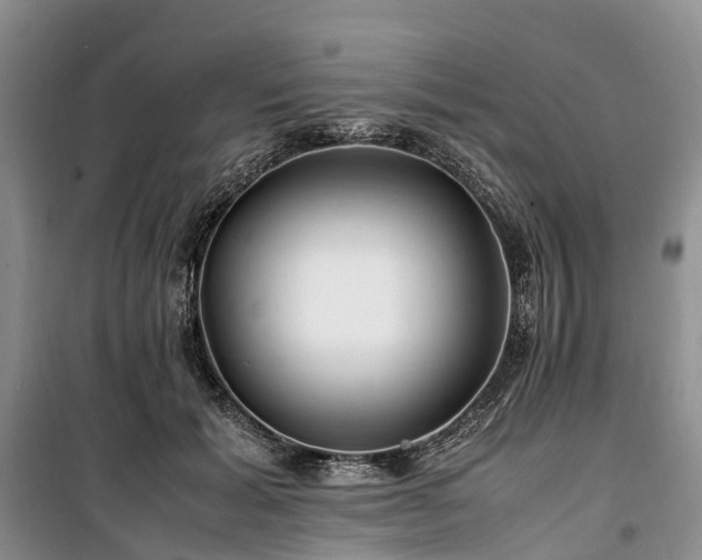 X0000100380605200806131101