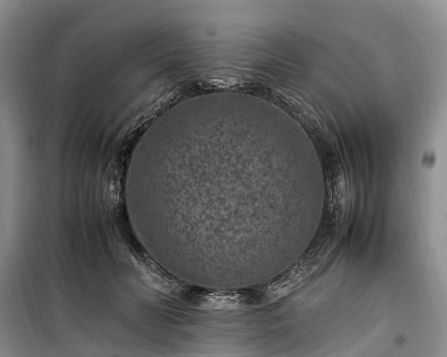 X0000100380606200806131101