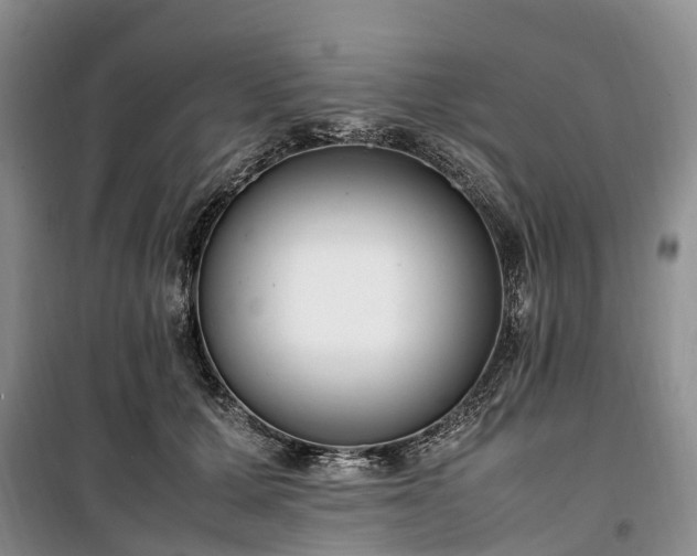 X0000100380607200806131101