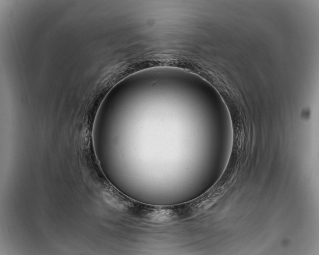 X0000100380609200806131101