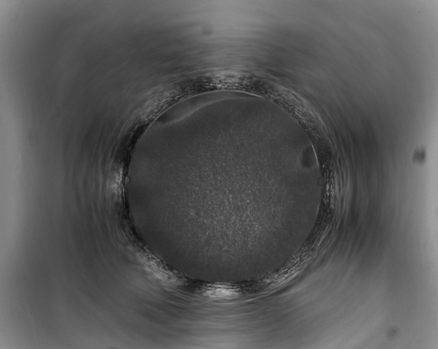 X0000100380610200806131101