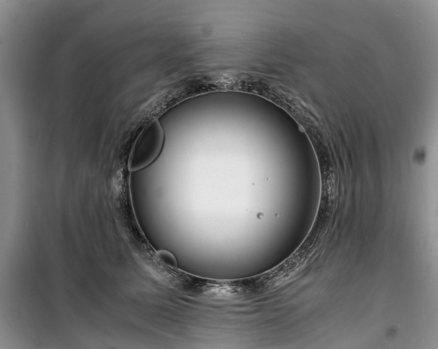 X0000100380611200806131101