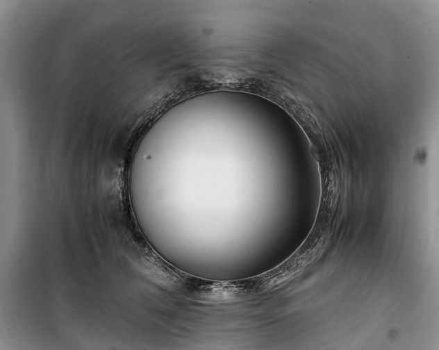 X0000100380612200806131101