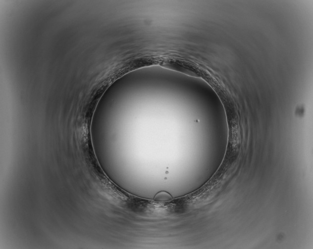 X0000100380613200806131101