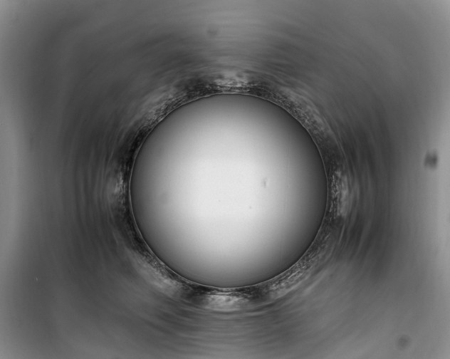 X0000100380614200806131101