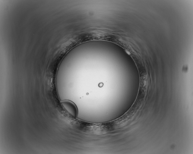 X0000100380615200806131101