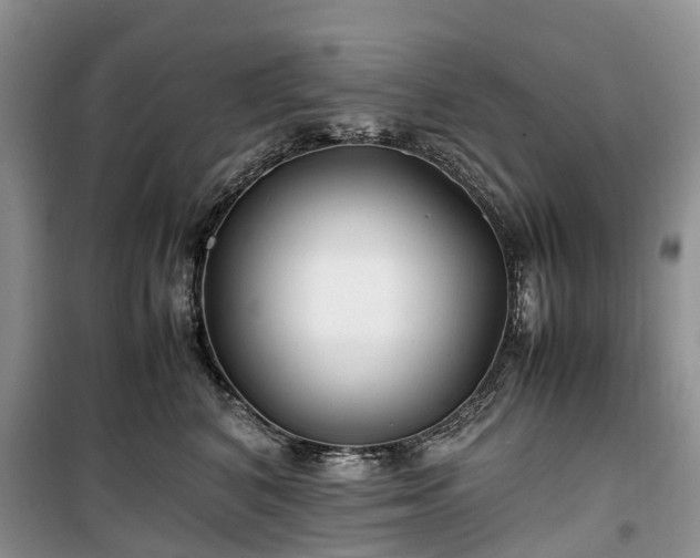 X0000100380616200806131101