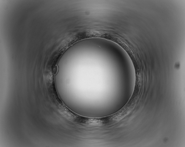 X0000100380617200806131101
