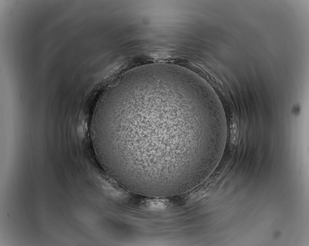 X0000100380618200806131101