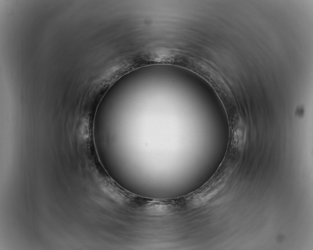 X0000100380620200806131101