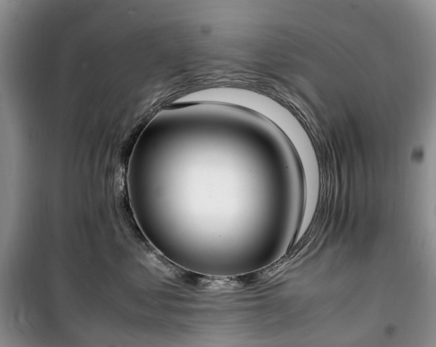 X0000100380621200806131101