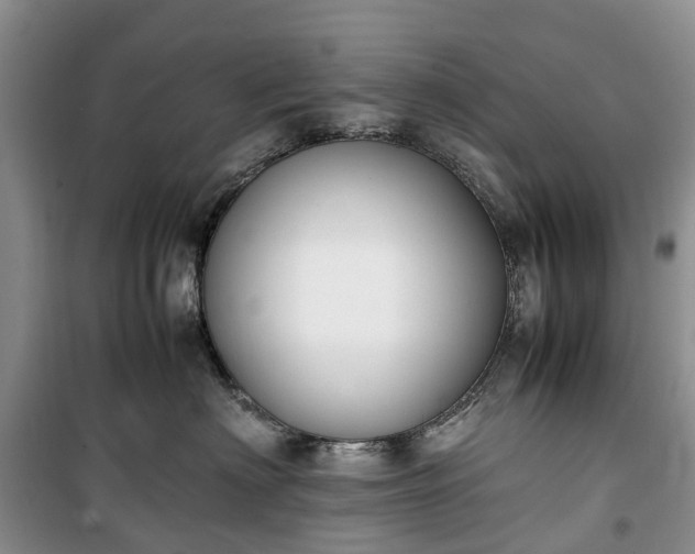 X0000100380622200806131101
