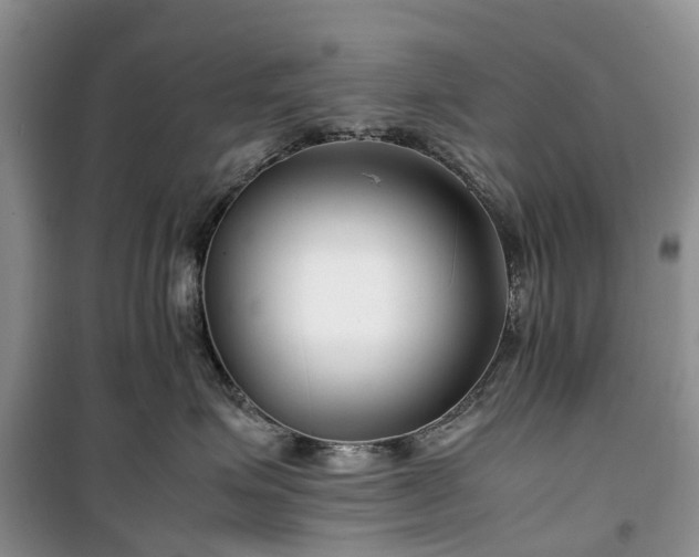 X0000100380623200806131101