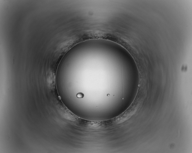 X0000100380624200806131101