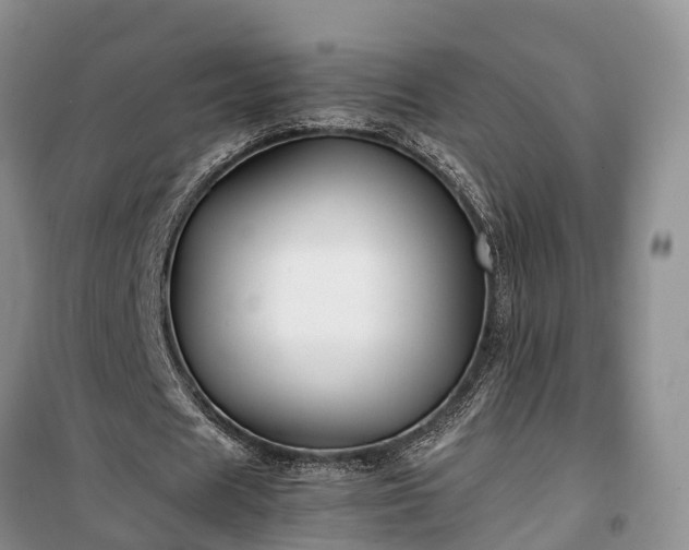X0000100380625200806131100