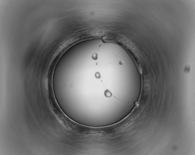 X0000100380626200806131100