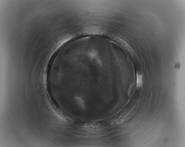 X0000100380627200806131100