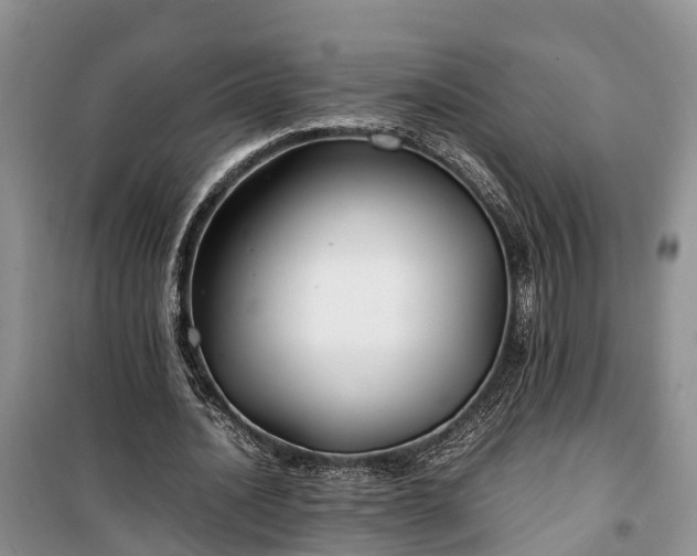 X0000100380628200806131100