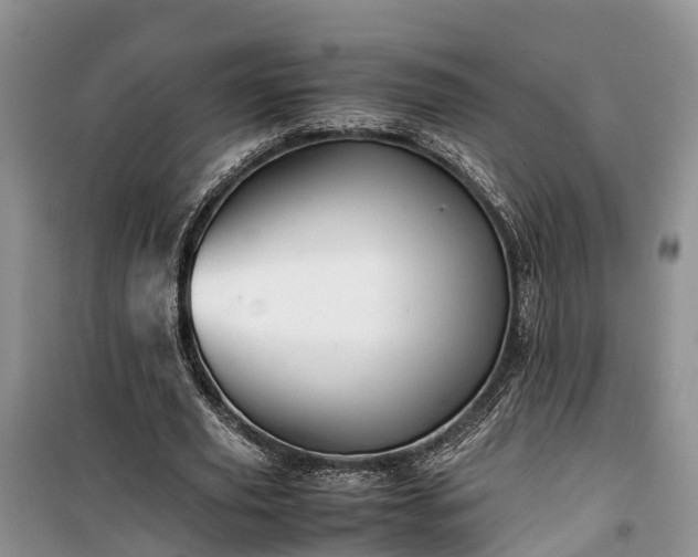 X0000100380629200806131100