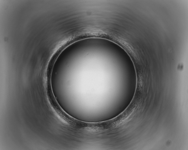 X0000100380630200806131100