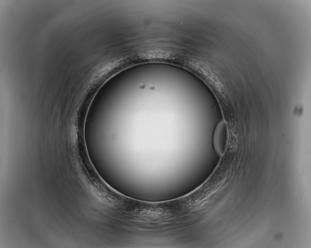X0000100380631200806131100