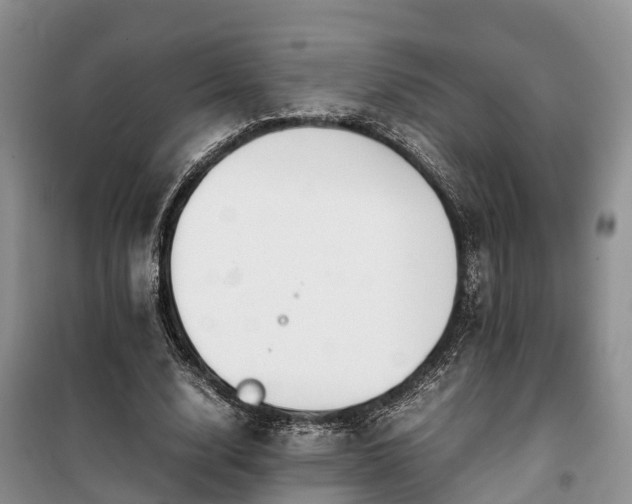 X0000100380632200806131100