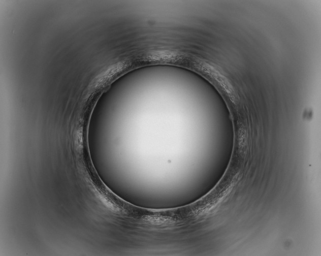 X0000100380633200806131100