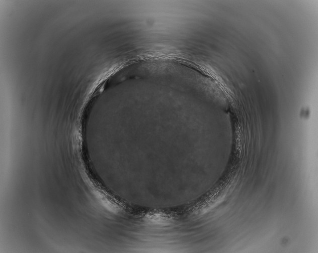 X0000100380634200806131100