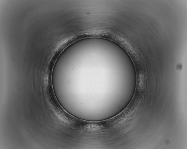 X0000100380636200806131100