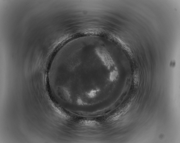 X0000100380637200806131100