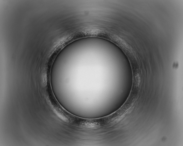 X0000100380638200806131100