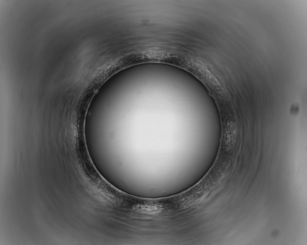 X0000100380639200806131100