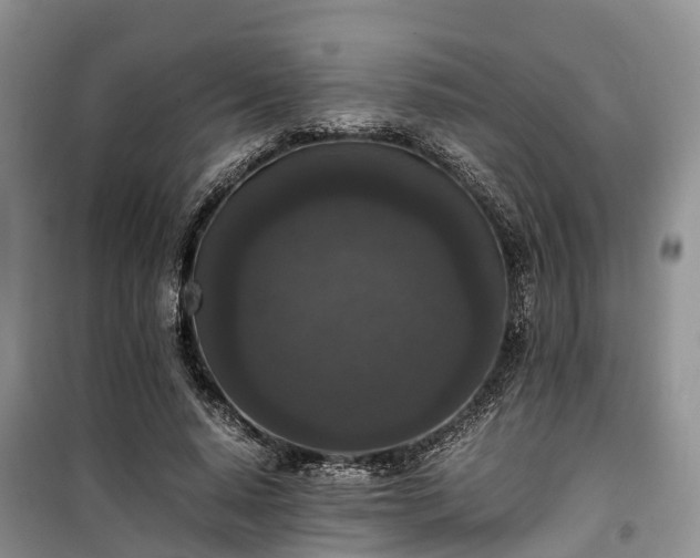 X0000100380640200806131100