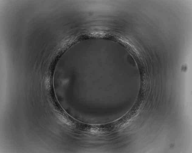 X0000100380641200806131100