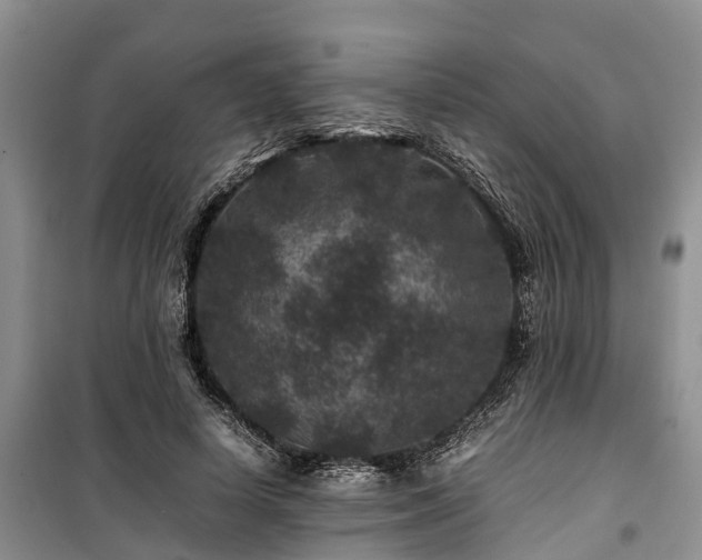 X0000100380642200806131100
