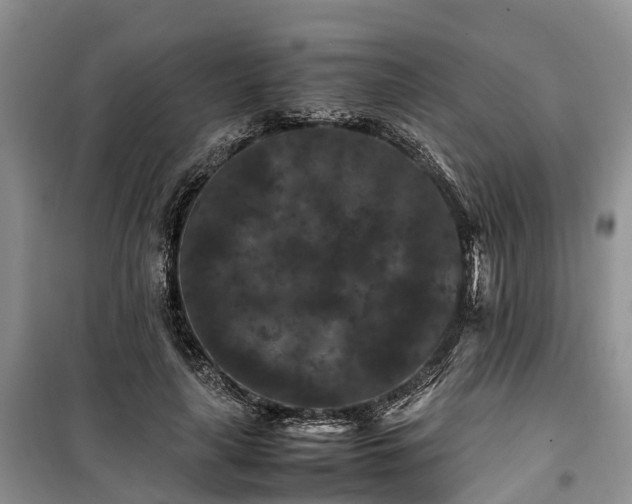 X0000100380643200806131100