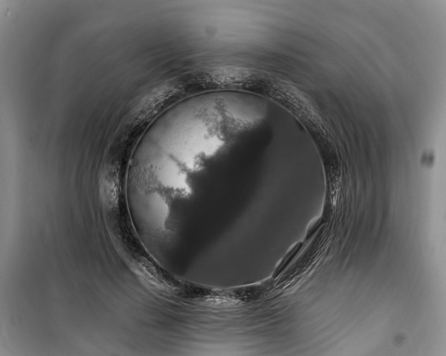X0000100380644200806131100