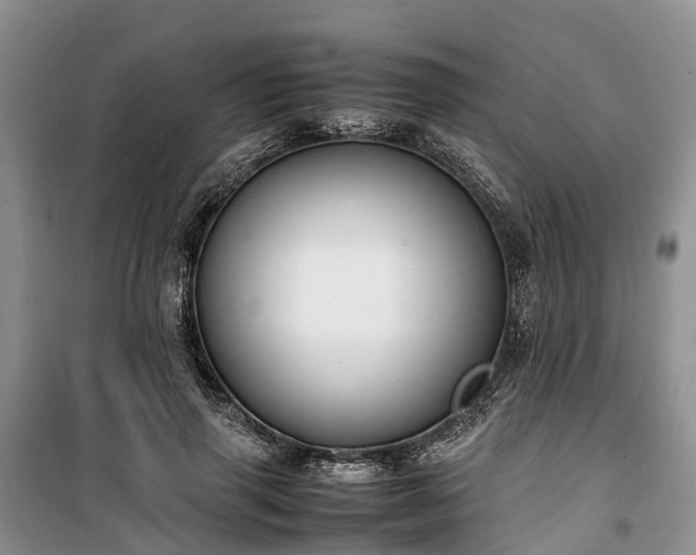 X0000100380645200806131100