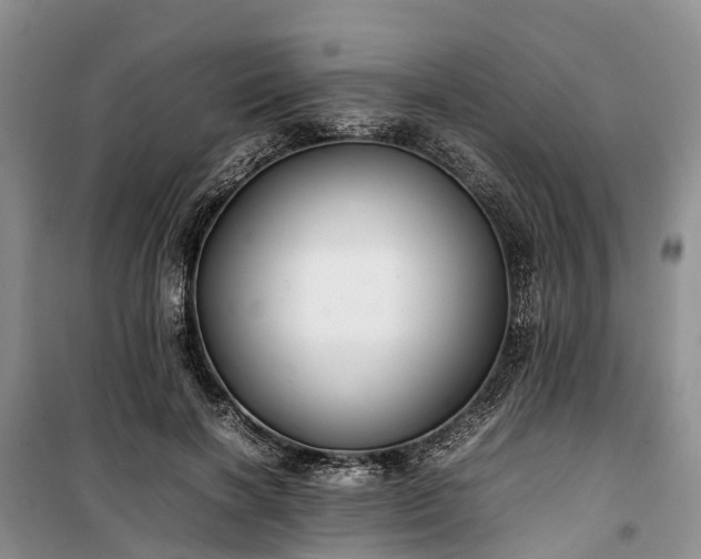 X0000100380646200806131100