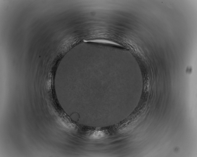 X0000100380647200806131100