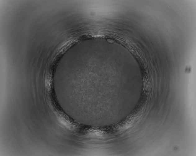 X0000100380648200806131100