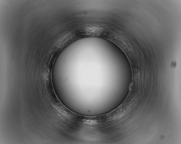X0000100380649200806131100
