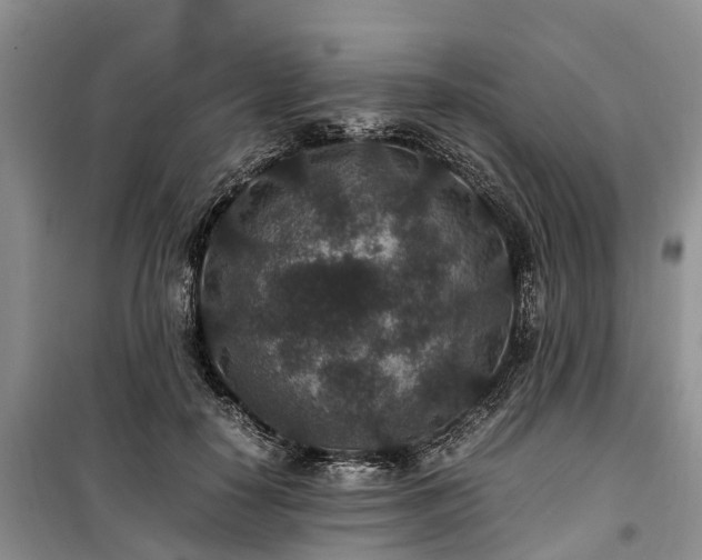 X0000100380650200806131100