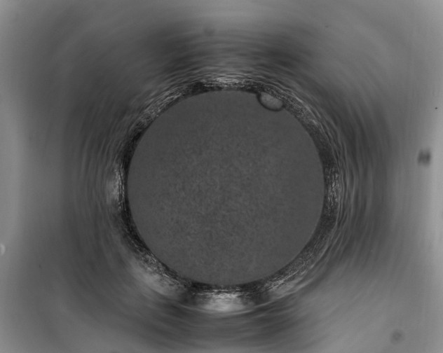 X0000100380651200806131100