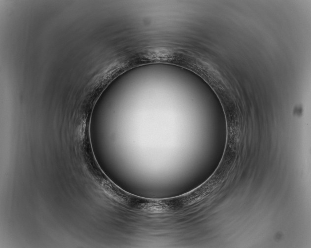 X0000100380652200806131100